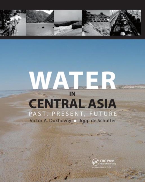 Water in Central Asia : Past, Present, Future, Paperback / softback Book