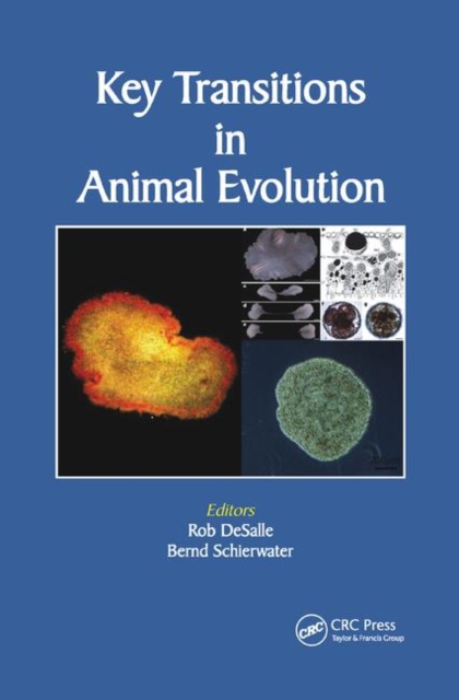 Key Transitions in Animal Evolution, Paperback / softback Book