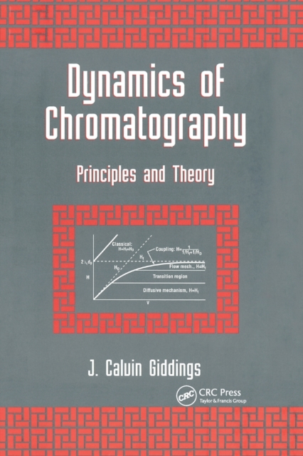 Dynamics of Chromatography : Principles and Theory, Paperback / softback Book