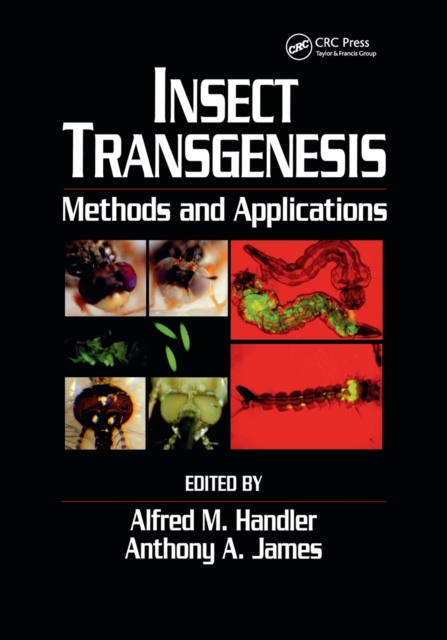 Insect Transgenesis : Methods and Applications, Paperback / softback Book