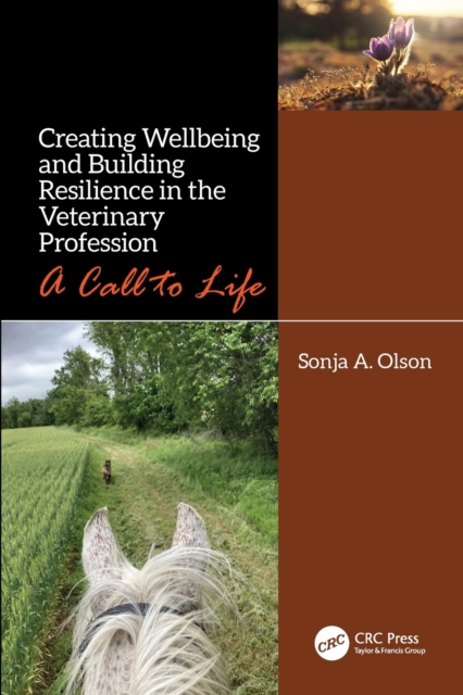 Creating Wellbeing and Building Resilience in the Veterinary Profession : A Call to Life, Paperback / softback Book