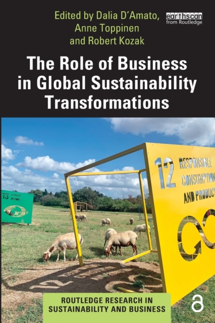 The Role of Business in Global Sustainability Transformations, Paperback / softback Book