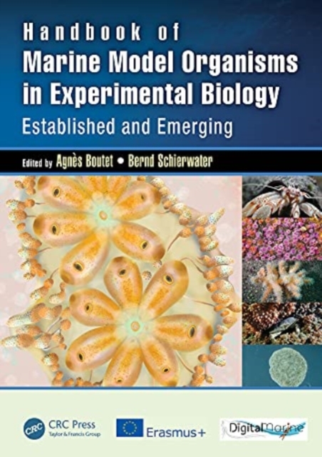 Handbook of Marine Model Organisms in Experimental Biology : Established and Emerging, Hardback Book