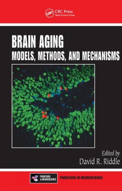 Brain Aging : Models, Methods, and Mechanisms, Paperback / softback Book