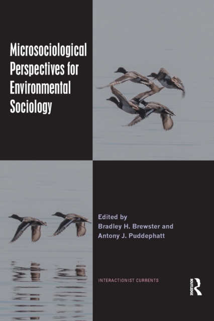Microsociological Perspectives for Environmental Sociology, Paperback / softback Book