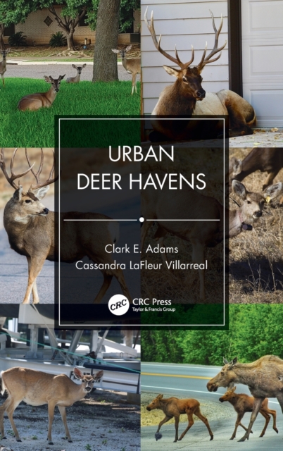 Urban Deer Havens, Hardback Book