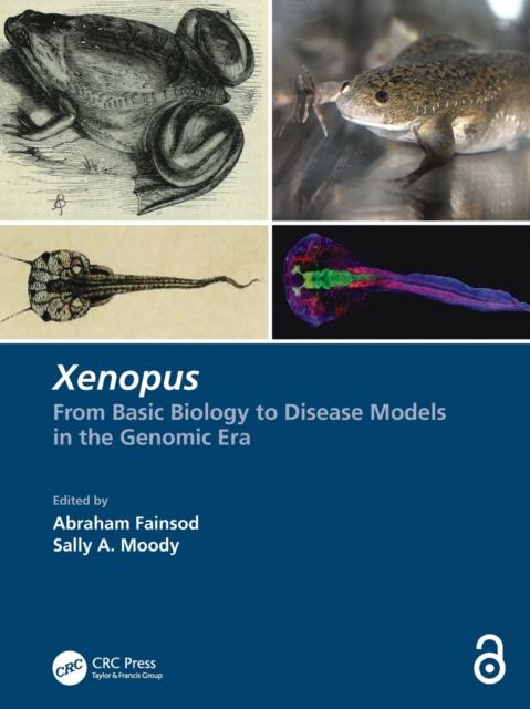 Xenopus : From Basic Biology to Disease Models in the Genomic Era, Paperback / softback Book