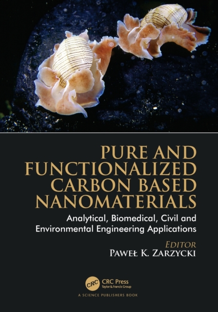 Pure and Functionalized Carbon Based Nanomaterials : Analytical, Biomedical, Civil and Environmental Engineering Applications, Paperback / softback Book