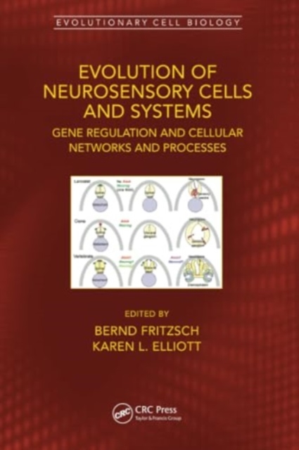 Evolution of Neurosensory Cells and Systems : Gene regulation and cellular networks and processes, Paperback / softback Book
