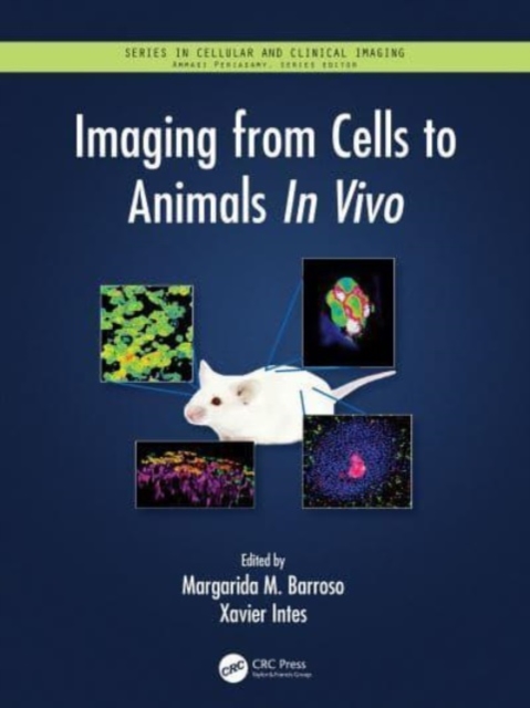 Imaging from Cells to Animals In Vivo, Paperback / softback Book
