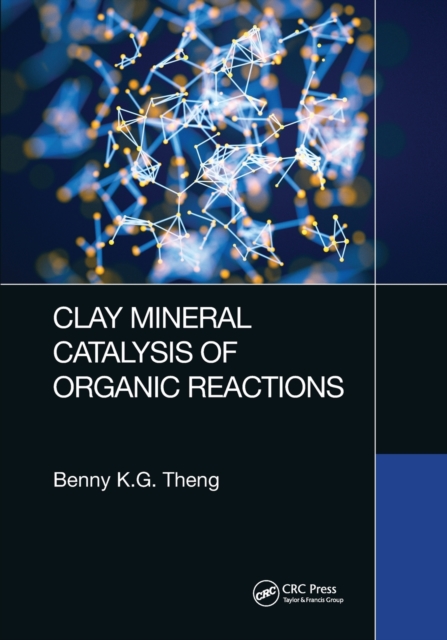 Clay Mineral Catalysis of Organic Reactions, Paperback / softback Book