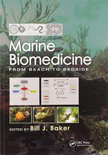 Marine Biomedicine : From Beach to Bedside, Paperback / softback Book
