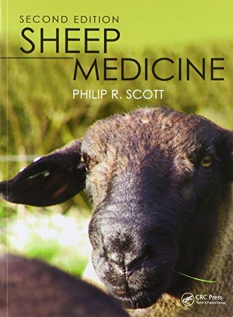 Sheep Medicine, Paperback / softback Book