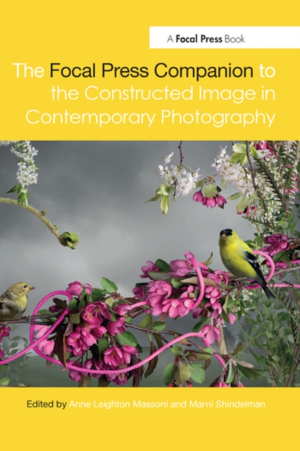 The Focal Press Companion to the Constructed Image in Contemporary Photography, Paperback / softback Book