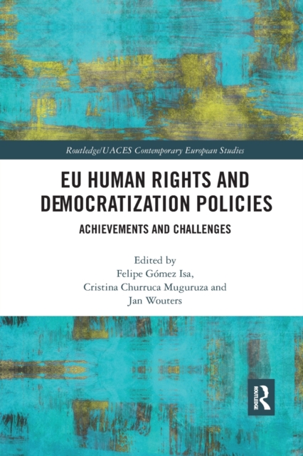 EU Human Rights and Democratization Policies : Achievements and Challenges, Paperback / softback Book