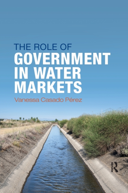 The Role of Government in Water Markets, Paperback / softback Book