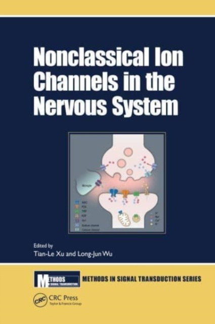 Nonclassical Ion Channels in the Nervous System, Paperback / softback Book