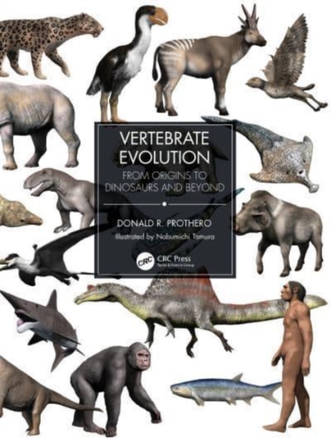 Vertebrate Evolution : From Origins to Dinosaurs and Beyond, Hardback Book