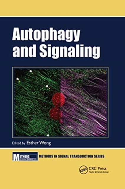 Autophagy and Signaling, Paperback / softback Book