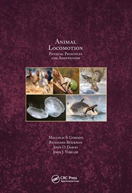 Animal Locomotion : Physical Principles and Adaptations, Paperback / softback Book
