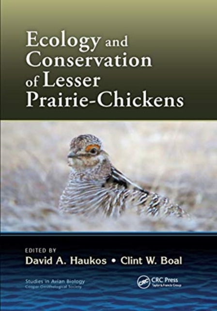 Ecology and Conservation of Lesser Prairie-Chickens, Paperback / softback Book