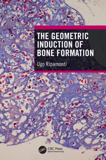The Geometric Induction of Bone Formation, Paperback / softback Book