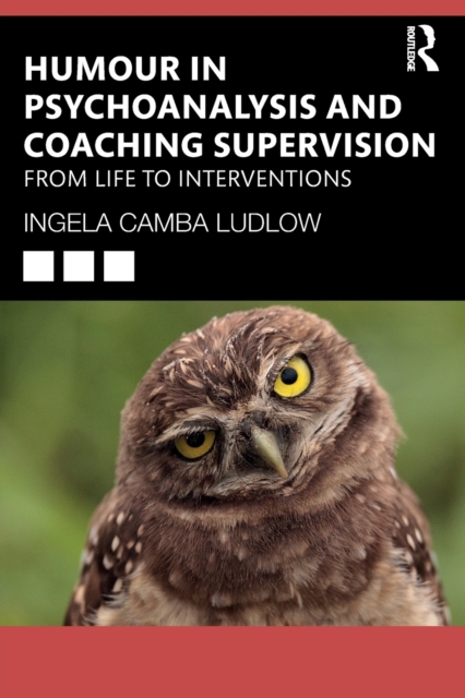 Humour in Psychoanalysis and Coaching Supervision : From Life to Interventions, Paperback / softback Book