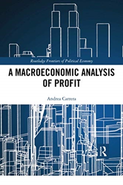 A Macroeconomic Analysis of Profit, Paperback / softback Book