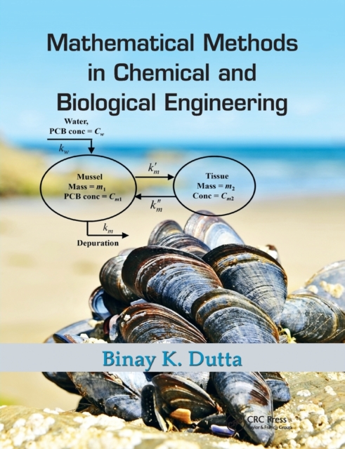 Mathematical Methods in Chemical and Biological Engineering, Paperback / softback Book