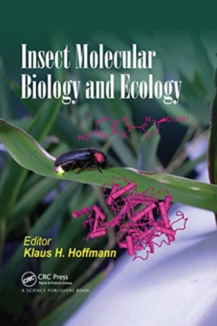 Insect Molecular Biology and Ecology, Paperback / softback Book
