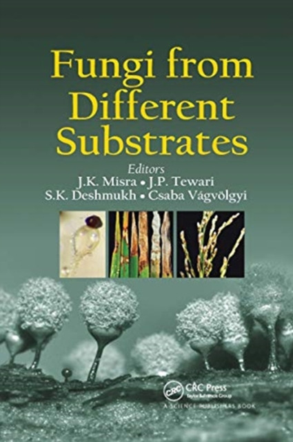 Fungi From Different Substrates, Paperback / softback Book