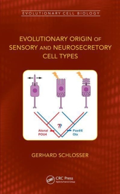 Evolutionary Origin of Sensory and Neurosecretory Cell Types : Vertebrate Cranial Placodes, volume 2, Paperback / softback Book