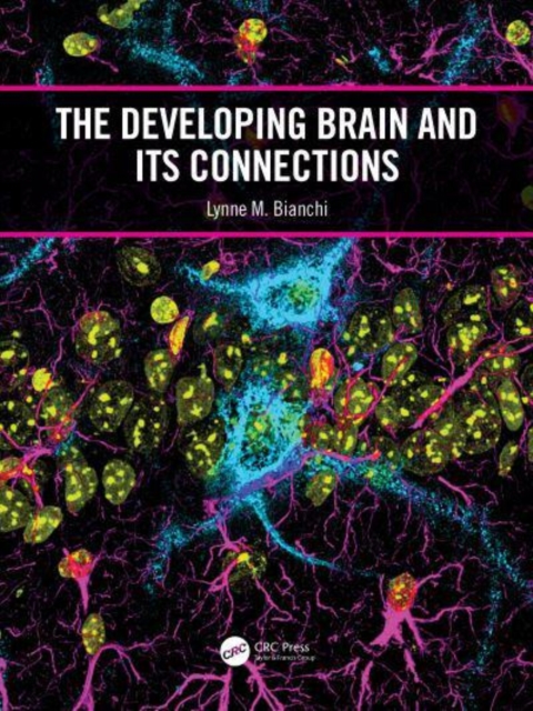 The Developing Brain and its Connections, Paperback / softback Book