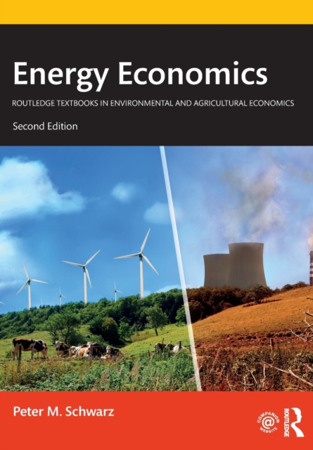 Energy Economics, Paperback / softback Book