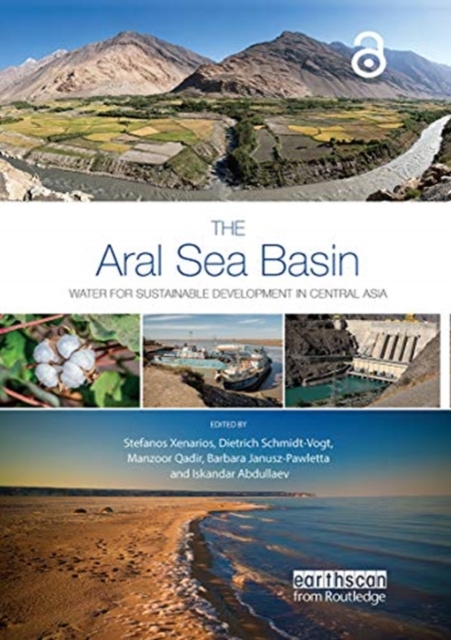 The Aral Sea Basin : Water for Sustainable Development in Central Asia, Paperback / softback Book