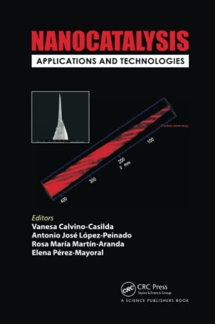 Nanocatalysis : Applications and Technologies, Paperback / softback Book