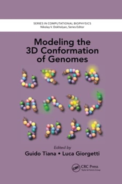 Modeling the 3D Conformation of Genomes, Paperback / softback Book