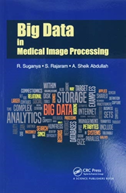 Big Data in Medical Image Processing, Paperback / softback Book