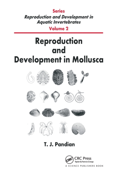 Reproduction and Development in Mollusca, Paperback / softback Book