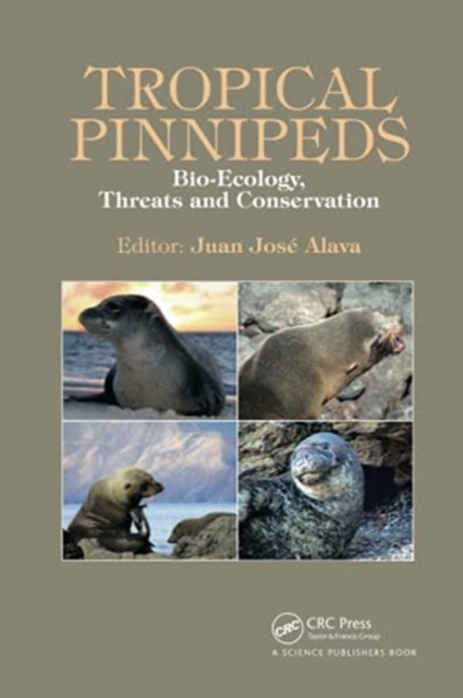 Tropical Pinnipeds : Bio-Ecology, Threats and Conservation, Paperback / softback Book