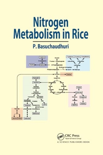 Nitrogen Metabolism in Rice, Paperback / softback Book