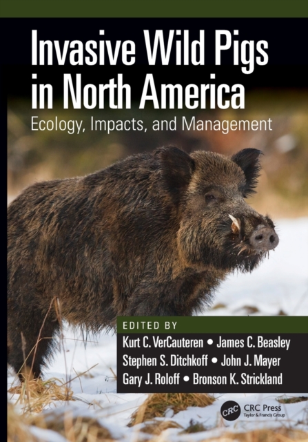 Invasive Wild Pigs in North America : Ecology, Impacts, and Management, Paperback / softback Book