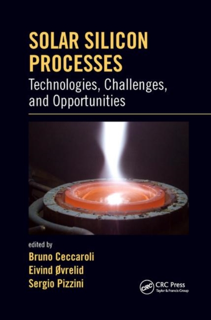 Solar Silicon Processes : Technologies, Challenges, and Opportunities, Paperback / softback Book