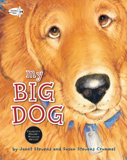 My Big Dog, Paperback / softback Book