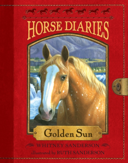 Horse Diaries #5: Golden Sun, Paperback / softback Book
