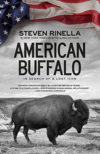 American Buffalo : In Search of a Lost Icon, Paperback / softback Book