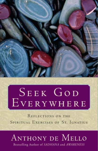 Seek God Everywhere, EPUB eBook