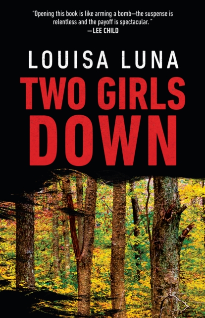 Two Girls Down, EPUB eBook