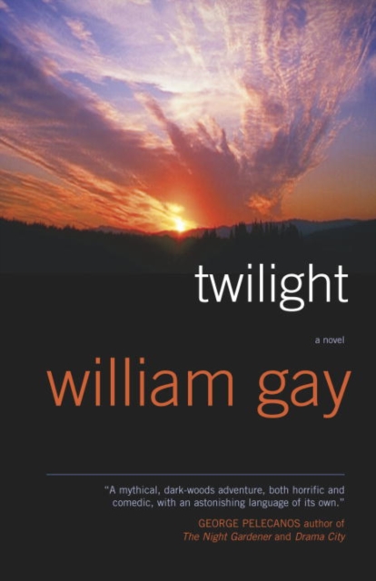 Twilight : A Novel, EPUB eBook