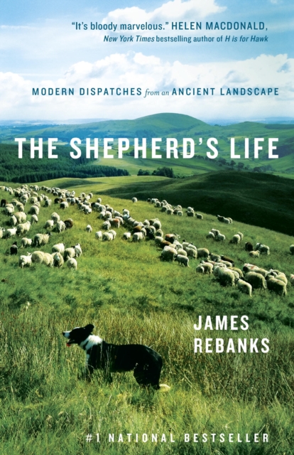 The Shepherd's Life : Modern Dispatches from an Ancient Landscape, EPUB eBook